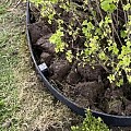 Recy-Flex borderrand 14x0.7 cm, rol á 10 m - grijs ~