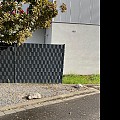 Recy-Fence hekwerkband PP 19x0.12 cm, rol á 50 m - zwart ~
