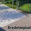 Grasbetonplaat Matrix grijs 200x100x10 cm. ~