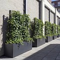 CorTen Trellis (LxBxH) 200x50x200 cm. ~