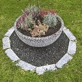 Graskanttegel G603 25x10x3 cm. ~