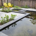 Spotted Bluestone 100x20x3cm (Vijverrand) ~