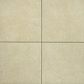 Monte Beige 60x60x2 cm ~