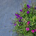 Strakke dikformaat XL 28x7x8 cm. Antraciet ~