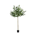 Pottery Pots kunstplant Ficus Triangularis Tree L ØxH 45x180 cm. ~