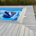 Eva-Last Ibiza FSC I-Series decking clip 25x210x5000mm houtnerf bc ~