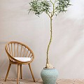 Pottery Pots plantenbak Zeus S Rustic Green (øxh) 37x32 cm. ~