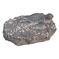 Turtle on rock (uitlopend 2026) OP=OP ~
