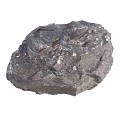 Frog on rock (uitlopend 2026) OP=OP ~