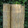 Rietmat Tisza 50x200 cm. ~