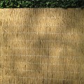 Rietplaat Nagy 50x200 cm. ~