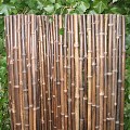Bamboerolscherm black 100x180 cm. ~