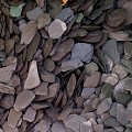 Slate Plum (Aubergine) 15-30 mm. in gaas - KG prijs ~