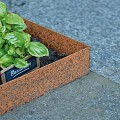 Mevosteel LxH 225x15,2 cm. Dikte 2 mm. ongecoat (Corten) incl. pennen ~