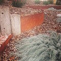 StraightCurve Flexline 216x56 cm. weervast staal (CorTen) (uitlopend 2026) ~