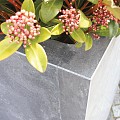 Blue Stone bloembak taps 30x30x60 cm. gezoet ~