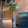 Pottery Pots kunstplant Alocasia Tree L Green ~