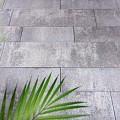 Arizona Isola Lineair verband x7 cm. ~