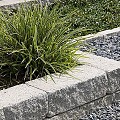Cliffstone Walling Block Gletsjer 50x20x15 cm. 2-zijdig ~