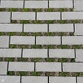 Greenstone Grasbetontegel 25x12,5x10 cm. 2/2 Grijs ~