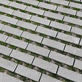 Greenstone Grasbetontegel 25x12,5x10 cm. 2/2 Grijs ~