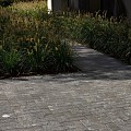 Infiltro Bss 20x20x6 2/2 Zwart Poreus Waterdoorlatend ~