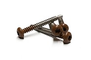 NTW Castellation PRO RVS schroef Teak 50 stuks incl. bit ~