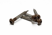 NTW Castellation PRO RVS schroef Ipé 50 stuks incl. bit ~