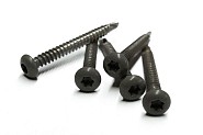 NTW Castellation PRO RVS schroef Silver Gray 50 stuks incl. bit ~