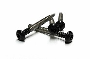 NTW Castellation PRO RVS schroef Ebony zwart 50 stuks incl. bit ~