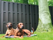 WPC antraciet composiet scherm Basic met 4 antra alu ligger 180x180cm ~