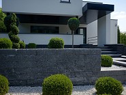 Cliffstone Walling Block Labrador 50x20x15 cm. 2-zijdig ~