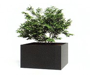 Vierkante Aluminium plantenbak
