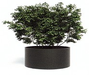 Ronde Aluminium plantenbak