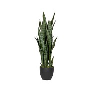 Pottery Pots kunstplant Sansevieria M Green ~