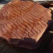 Red Fossil zwerfsteen >500 mm. ~