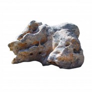Zwerfsteen Showstone 50-300 cm (uitlopend 2026) OP=OP ~