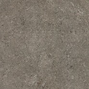 Biscuit Grey 60x60x2 cm. ~