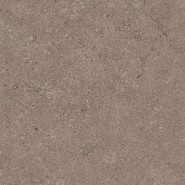 Biscuit Beige