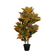 Pottery Pots kunstplant Codiaeum M Green H=118 cm.
