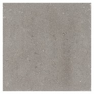 Betontegel 50x50x4.5 cm Grijs ~