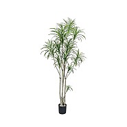 Pottery Pots kunstplant Dracaena Marginata