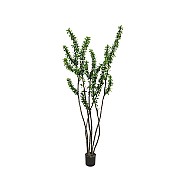 Pottery Pots kunstplant Ocotillo Tree L Green ØxH 75x213 cm. ~