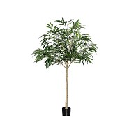 Pottery Pots kunstplant Ficus Alii Tree L ØxH 70x180 cm. ~