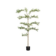 Pottery Pots kunstplant Buchida Buceras Shady Lady Tree L ØxH 48x180 cm. ~