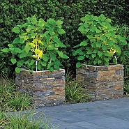 Rusty Slate bloembak 50x50x50 cm. recht ~