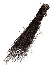 Takkenberkenbezem los ~