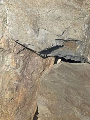 Multicolor flagstones 1,5-4 cm. ~