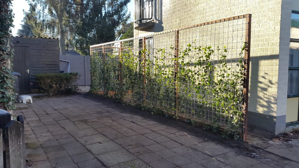 L’Ortye Tuin-Deco-Bouw