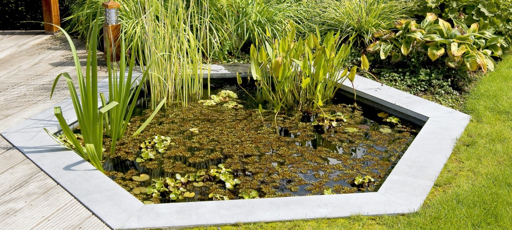 L’Ortye Tuin-Deco-Bouw